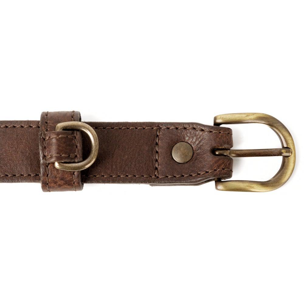 Campaign Leather Dog Collar