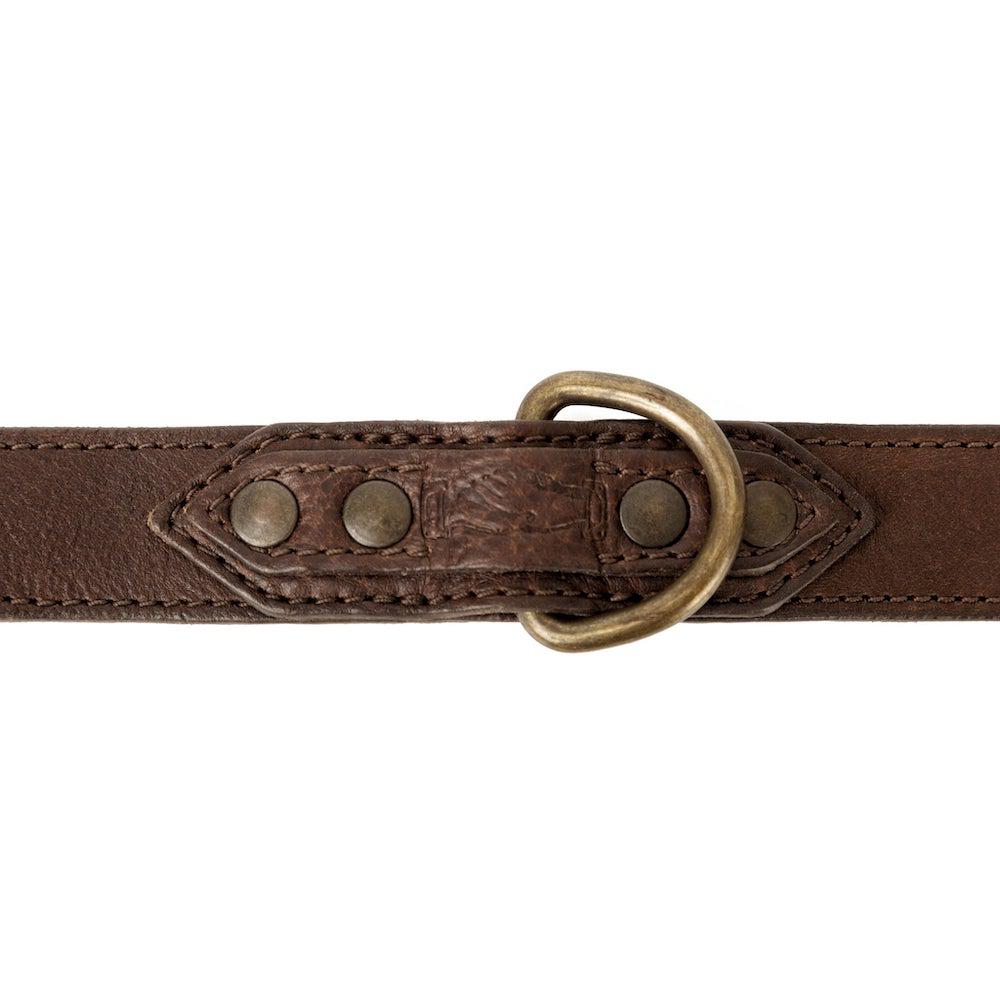 Campaign Leather Dog Collar