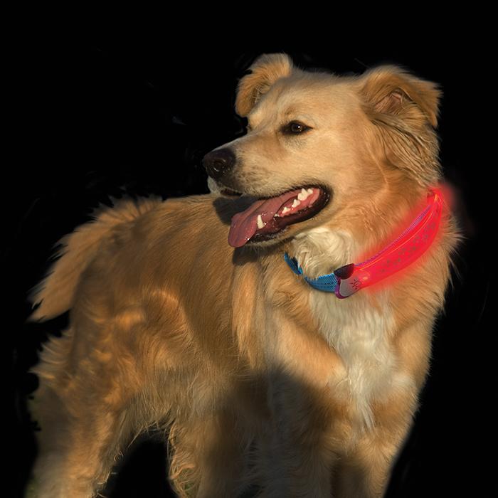 Nite Dawg LED Collar Cover - Pink: Red LED