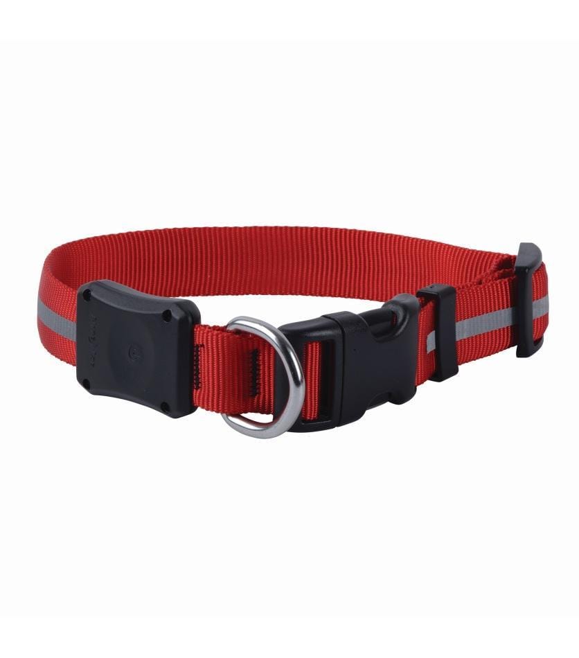 Nite Dawg LED Collar - Red