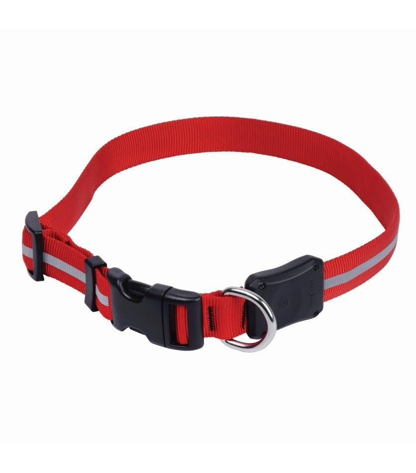 Nite Dawg LED Collar - Red