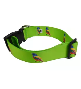 Printed Dog Collar - Birds