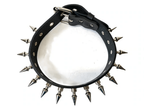 Spikey day collar (Vegan)